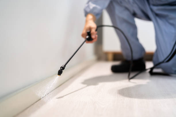 Licensed Termite Control service in Cumberland County County, ME - Nex Pest Control