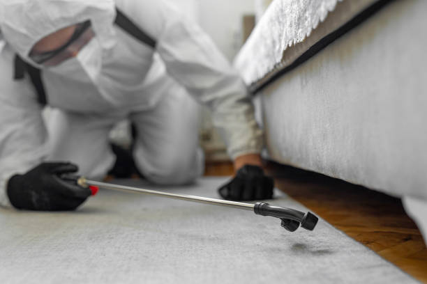 Professional Termite Control technician working in Cumberland County County, ME